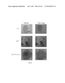 NANOCOMPOSITE MATERIALS BASED ON METAL OXIDES HAVING MULTI-FUNCTIONAL     PROPERTIES diagram and image