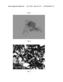 NANOCOMPOSITE MATERIALS BASED ON METAL OXIDES HAVING MULTI-FUNCTIONAL     PROPERTIES diagram and image