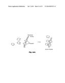 Method Using A Nonlinear Optical Technique for Detection of Interactions     Involving A Conformational Change diagram and image