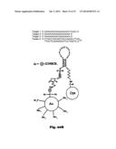 Method Using A Nonlinear Optical Technique for Detection of Interactions     Involving A Conformational Change diagram and image