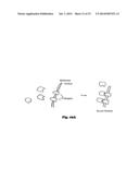 METHODS USING A NONLINEAR OPTICAL TECHNIQUE FOR DETECTION OF INTERACTIONS     INVOLVING A CONFORMATIONAL CHANGE diagram and image