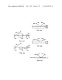 METHODS USING A NONLINEAR OPTICAL TECHNIQUE FOR DETECTION OF INTERACTIONS     INVOLVING A CONFORMATIONAL CHANGE diagram and image