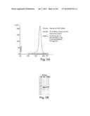 METHODS AND COMPOSITIONS FOR CELL-PROLIFERATION-RELATED DISORDERS diagram and image