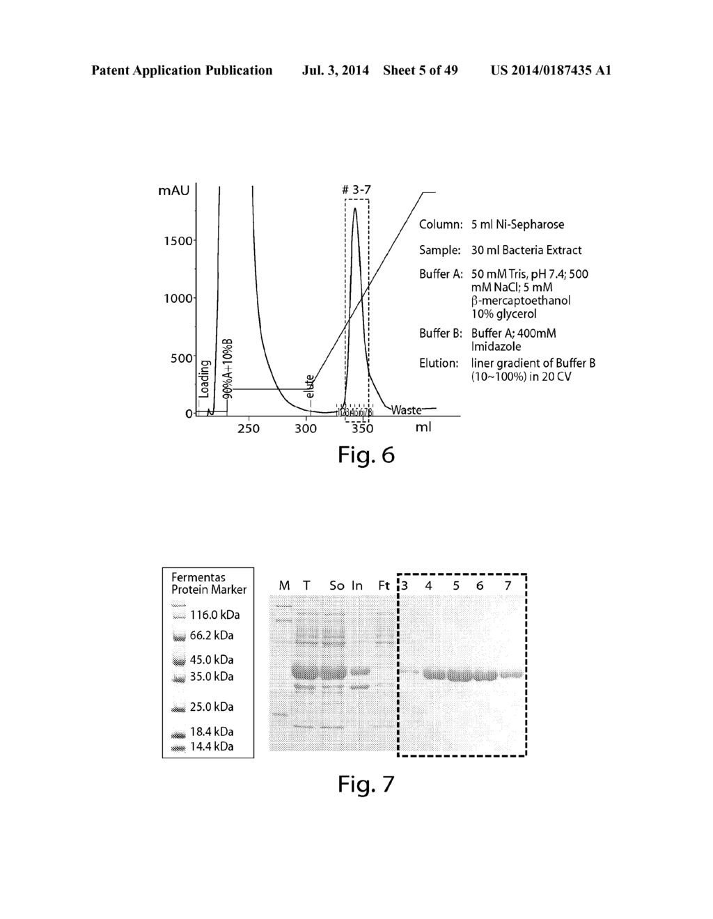 METHODS AND COMPOSITIONS FOR CELL-PROLIFERATION-RELATED DISORDERS - diagram, schematic, and image 06