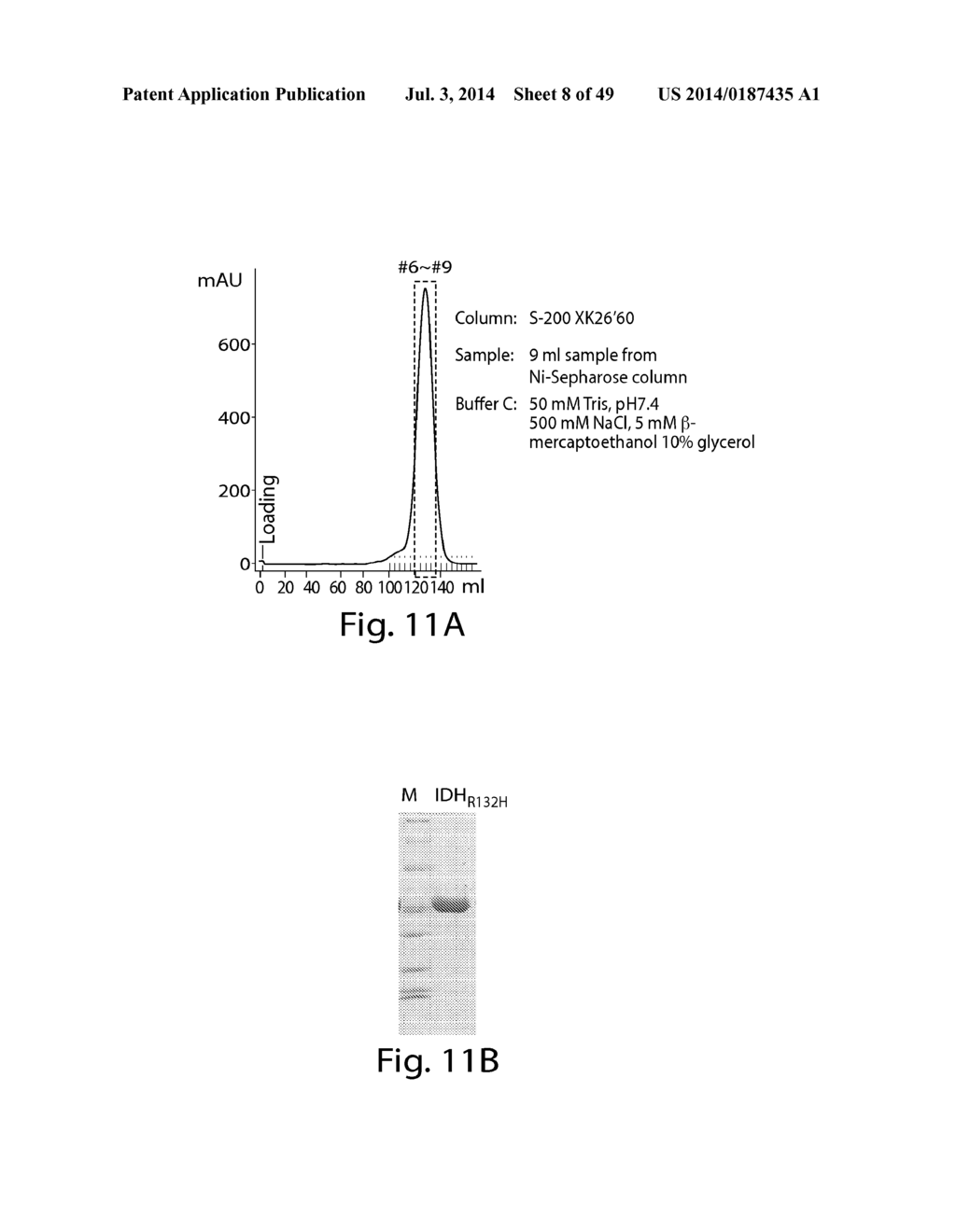 METHODS AND COMPOSITIONS FOR CELL-PROLIFERATION-RELATED DISORDERS - diagram, schematic, and image 09