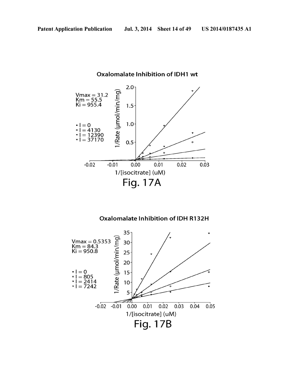 METHODS AND COMPOSITIONS FOR CELL-PROLIFERATION-RELATED DISORDERS - diagram, schematic, and image 15