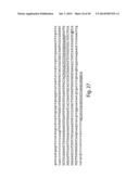 METHODS AND COMPOSITIONS FOR CELL-PROLIFERATION-RELATED DISORDERS diagram and image