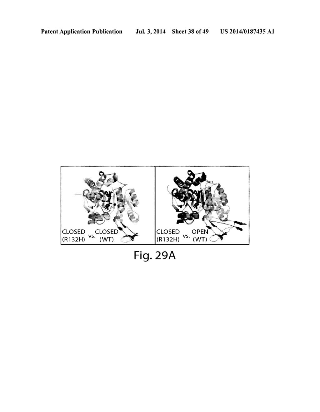 METHODS AND COMPOSITIONS FOR CELL-PROLIFERATION-RELATED DISORDERS - diagram, schematic, and image 39