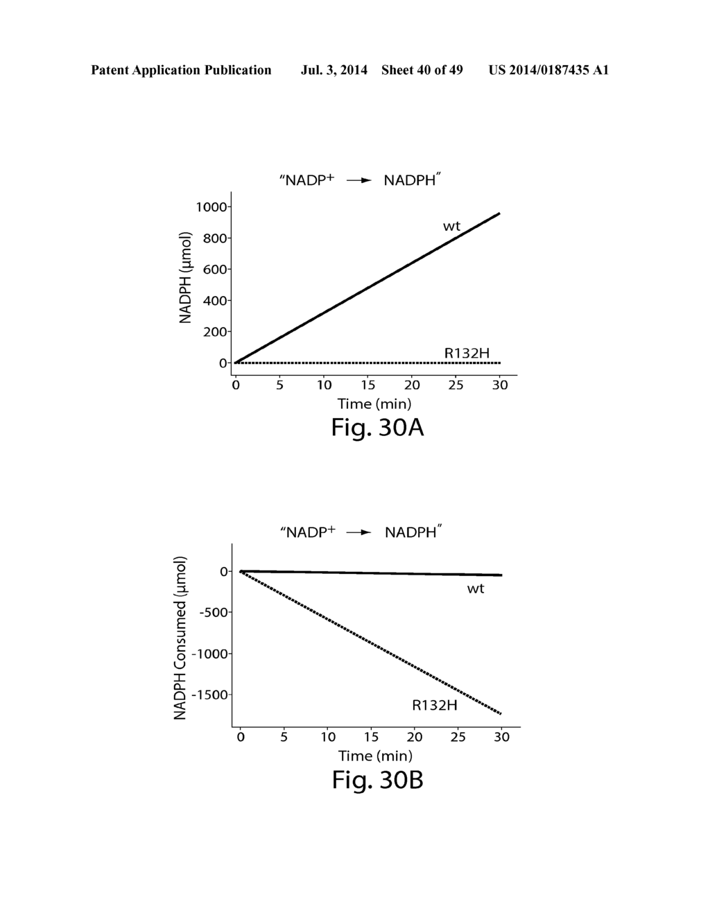 METHODS AND COMPOSITIONS FOR CELL-PROLIFERATION-RELATED DISORDERS - diagram, schematic, and image 41