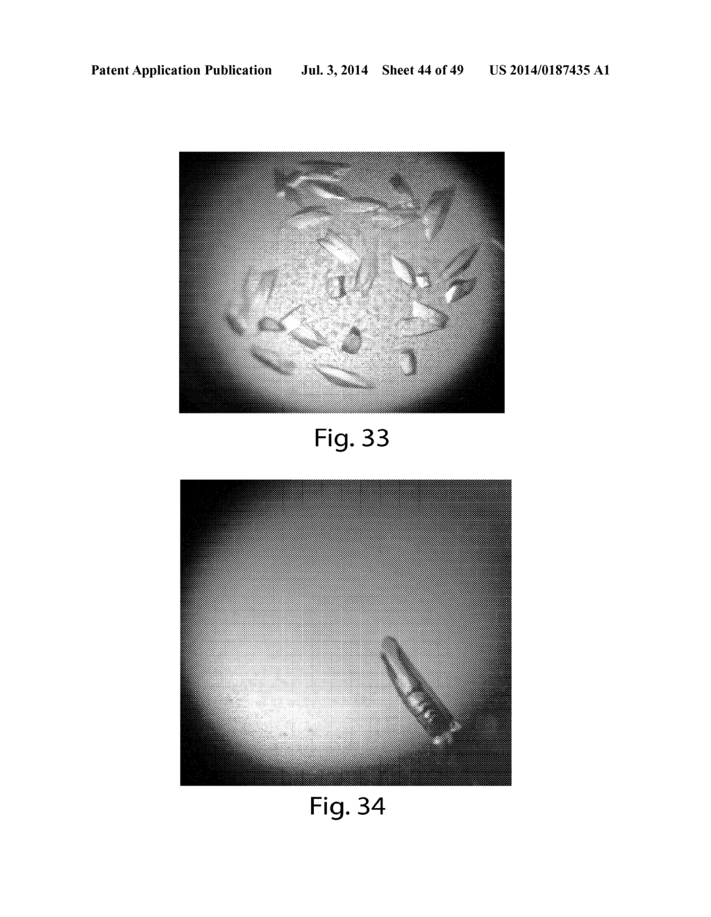 METHODS AND COMPOSITIONS FOR CELL-PROLIFERATION-RELATED DISORDERS - diagram, schematic, and image 45