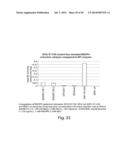 METHODS AND COMPOSITIONS FOR CELL-PROLIFERATION-RELATED DISORDERS diagram and image