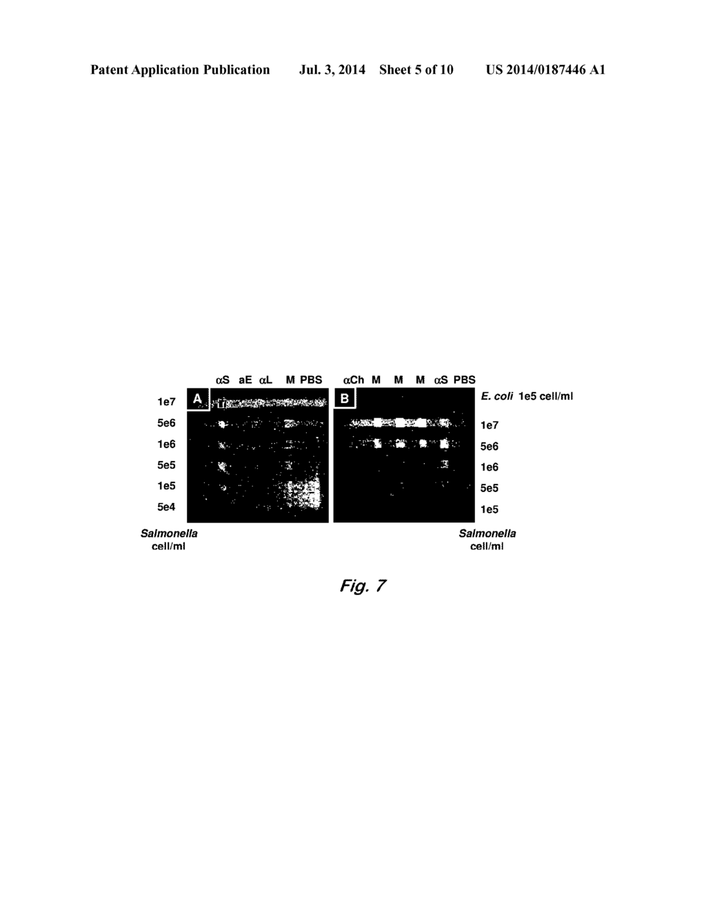 AFFINITY-BASED DETECTION OF BIOLOGICAL TARGETS - diagram, schematic, and image 06