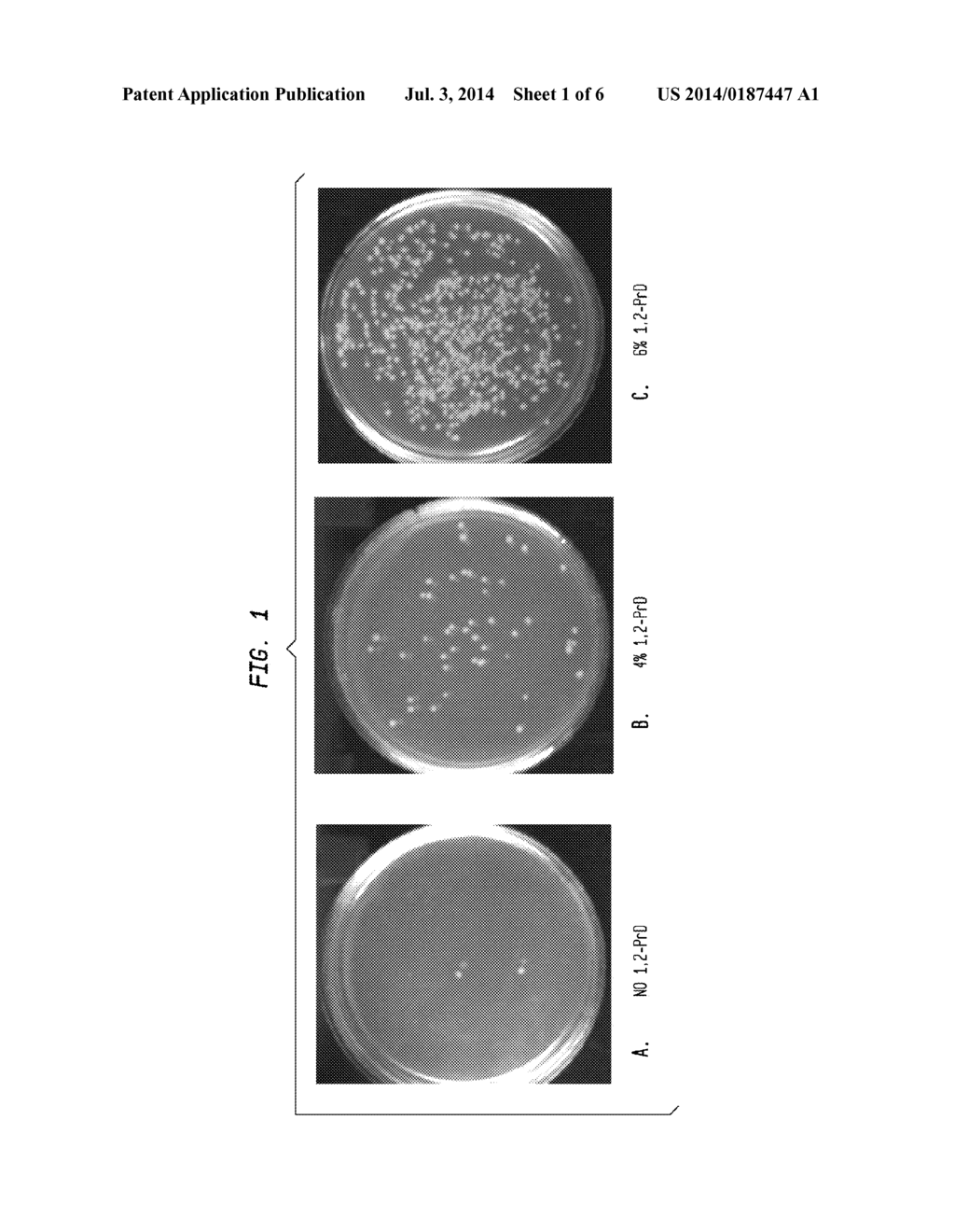 Ligation Enhancement - diagram, schematic, and image 02