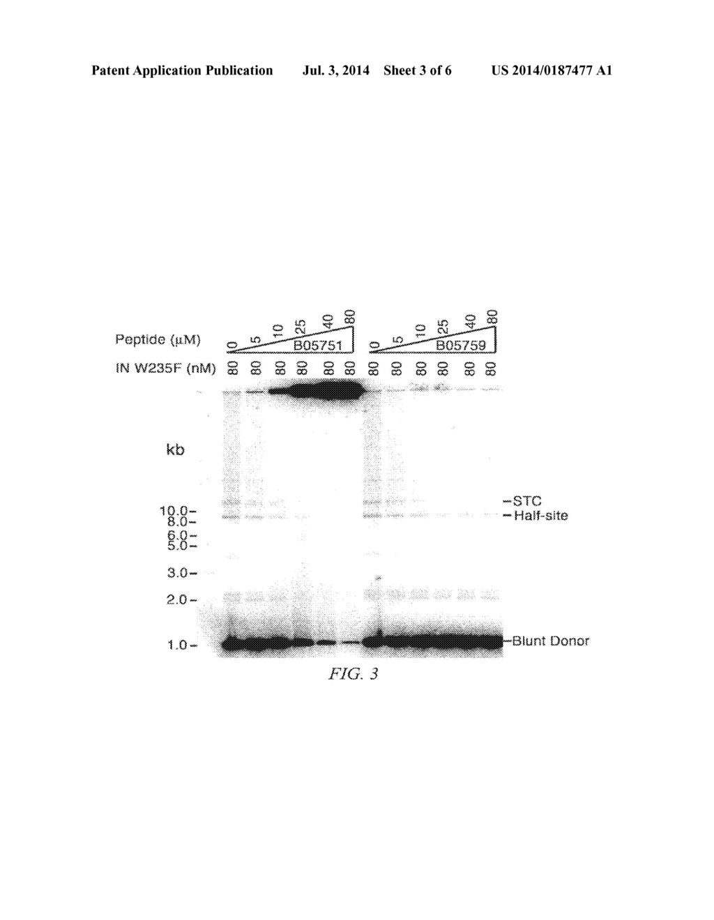 INHIBITORS OF VIRAL INTEGRASE AND METHODS OF USE - diagram, schematic, and image 04