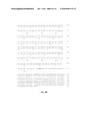 BOROPEPTIDE INHIBITORS OF ENTEROPEPTIDASE AND THEIR USES IN TREATMENT OF     OBESITY, OVERWEIGHT AND/OR DISEASES ASSOCIATED WITH AN ABNORMAL FAT     METABOLISM diagram and image