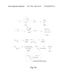 BOROPEPTIDE INHIBITORS OF ENTEROPEPTIDASE AND THEIR USES IN TREATMENT OF     OBESITY, OVERWEIGHT AND/OR DISEASES ASSOCIATED WITH AN ABNORMAL FAT     METABOLISM diagram and image