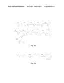 BOROPEPTIDE INHIBITORS OF ENTEROPEPTIDASE AND THEIR USES IN TREATMENT OF     OBESITY, OVERWEIGHT AND/OR DISEASES ASSOCIATED WITH AN ABNORMAL FAT     METABOLISM diagram and image