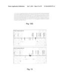 BOROPEPTIDE INHIBITORS OF ENTEROPEPTIDASE AND THEIR USES IN TREATMENT OF     OBESITY, OVERWEIGHT AND/OR DISEASES ASSOCIATED WITH AN ABNORMAL FAT     METABOLISM diagram and image