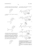 BOROPEPTIDE INHIBITORS OF ENTEROPEPTIDASE AND THEIR USES IN TREATMENT OF     OBESITY, OVERWEIGHT AND/OR DISEASES ASSOCIATED WITH AN ABNORMAL FAT     METABOLISM diagram and image