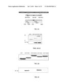 NA/K-ATPASE-DERIVED PEPTIDE SRC INHIBITORS AND OUABAIN ANTAGONISTS AND     USES THEREOF diagram and image