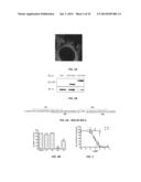 NA/K-ATPASE-DERIVED PEPTIDE SRC INHIBITORS AND OUABAIN ANTAGONISTS AND     USES THEREOF diagram and image