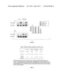 NA/K-ATPASE-DERIVED PEPTIDE SRC INHIBITORS AND OUABAIN ANTAGONISTS AND     USES THEREOF diagram and image