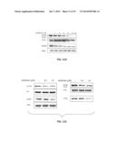 NA/K-ATPASE-DERIVED PEPTIDE SRC INHIBITORS AND OUABAIN ANTAGONISTS AND     USES THEREOF diagram and image