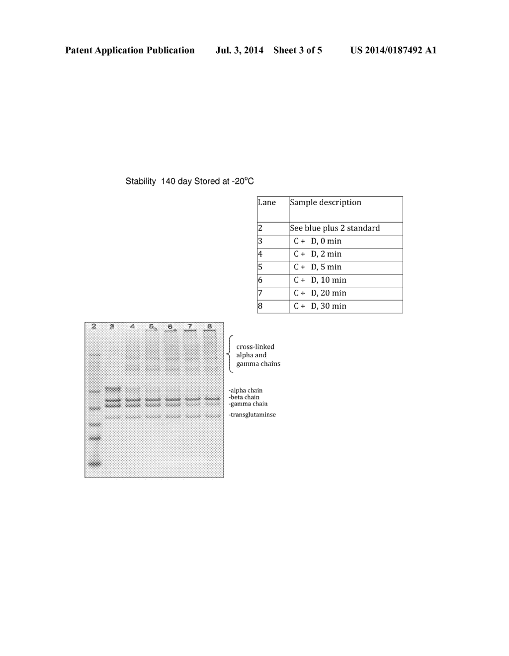 Single Component Fibrin Hemostat - diagram, schematic, and image 04