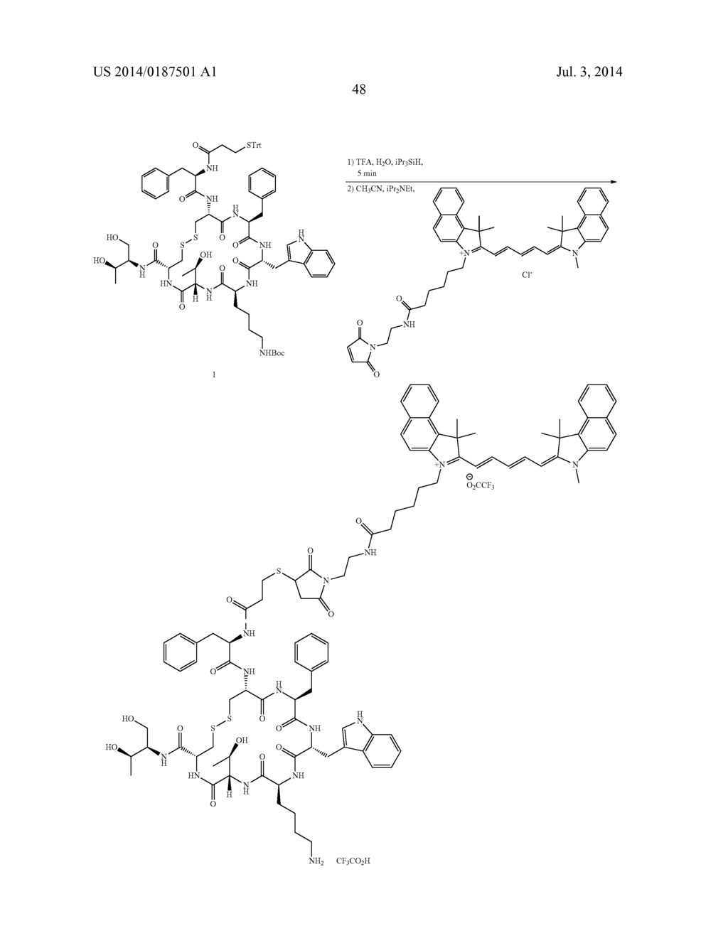 Targeted Conjugates Encapsulated in Particles and Formulations Thereof - diagram, schematic, and image 50