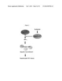 PREVENTION AND TREATMENT OF INFLAMMATORY CONDITIONS diagram and image