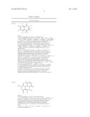 MOLECULAR ACTIVATORS OF THE WNT/BETA-CATENIN PATHWAY diagram and image