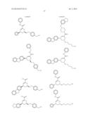 MOLECULAR ACTIVATORS OF THE WNT/BETA-CATENIN PATHWAY diagram and image