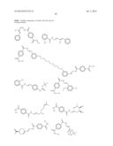 MOLECULAR ACTIVATORS OF THE WNT/BETA-CATENIN PATHWAY diagram and image