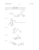 MOLECULAR ACTIVATORS OF THE WNT/BETA-CATENIN PATHWAY diagram and image