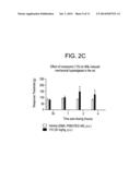 BENZIMIDAZOLE INHIBITORS OF THE SODIUM CHANNEL diagram and image