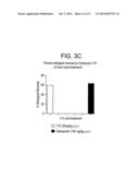 BENZIMIDAZOLE INHIBITORS OF THE SODIUM CHANNEL diagram and image