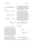 BENZIMIDAZOLE INHIBITORS OF THE SODIUM CHANNEL diagram and image