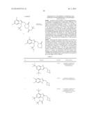 BENZIMIDAZOLE INHIBITORS OF THE SODIUM CHANNEL diagram and image