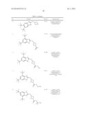 BENZIMIDAZOLE INHIBITORS OF THE SODIUM CHANNEL diagram and image