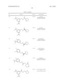 BENZIMIDAZOLE INHIBITORS OF THE SODIUM CHANNEL diagram and image