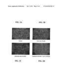 N-ACETYLCYSTEINE AMIDE (NAC AMIDE) FOR THE TREATMENT OF DISEASES AND     CONDITIONS ASSOCIATED WITH OXIDATIVE STRESS diagram and image