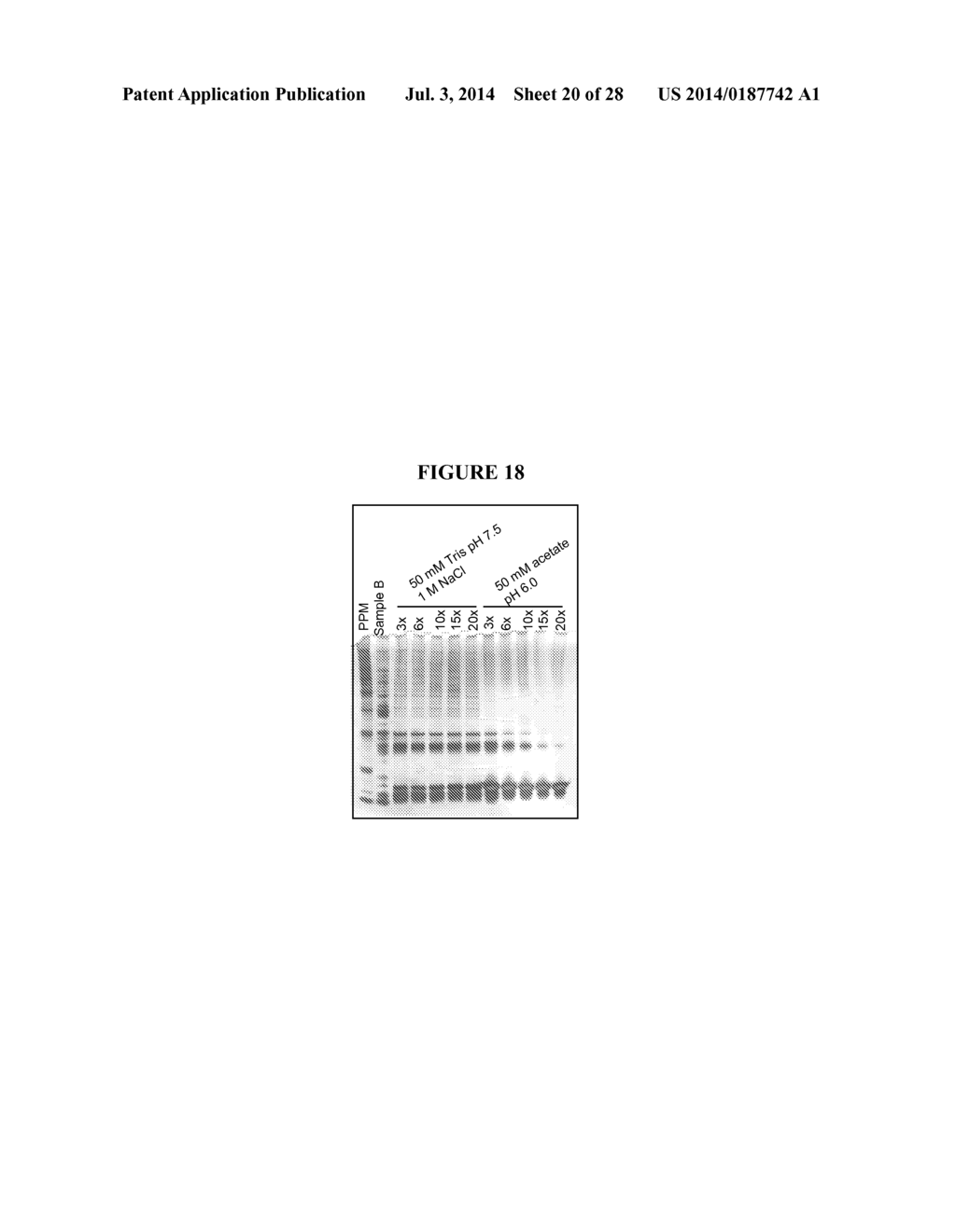 Methods for Purifying Pertussis Toxin and Peptides Useful Therefor - diagram, schematic, and image 21