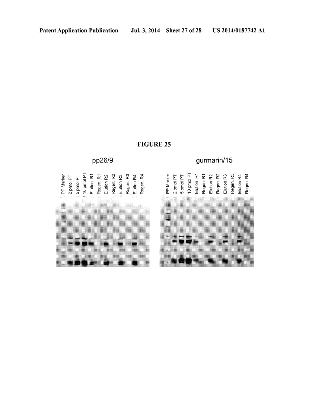 Methods for Purifying Pertussis Toxin and Peptides Useful Therefor - diagram, schematic, and image 28