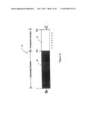 ANTIGENIC COMPOSITIONS AND USE OF SAME IN THE TARGETED DELIVERY OF NUCLEIC     ACIDS diagram and image