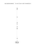 GENETIC ALTERATIONS IN ISOCITRATE DEHYDROGENASE AND OTHER GENES IN     MALIGNANT GLIOMA diagram and image