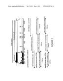 NEAR FULL-GENOME ASSAY OF HCV DRUG RESISTANCE diagram and image