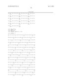 NEAR FULL-GENOME ASSAY OF HCV DRUG RESISTANCE diagram and image