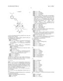 6,11-BRIDGED BIARYL MACROLIDES diagram and image