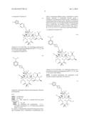 6,11-BRIDGED BIARYL MACROLIDES diagram and image