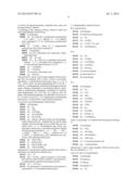 6,11-BRIDGED BIARYL MACROLIDES diagram and image